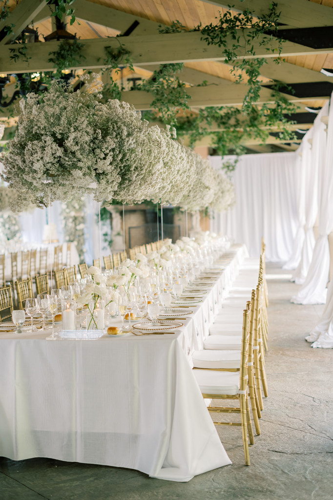 Lavish, Elegant Baby's Breath